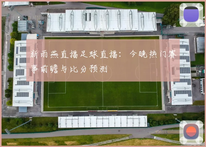 新雨燕直播足球直播:今晚热门赛事前瞻与比分预测