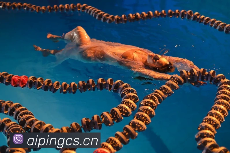 milan登录入口品牌故事